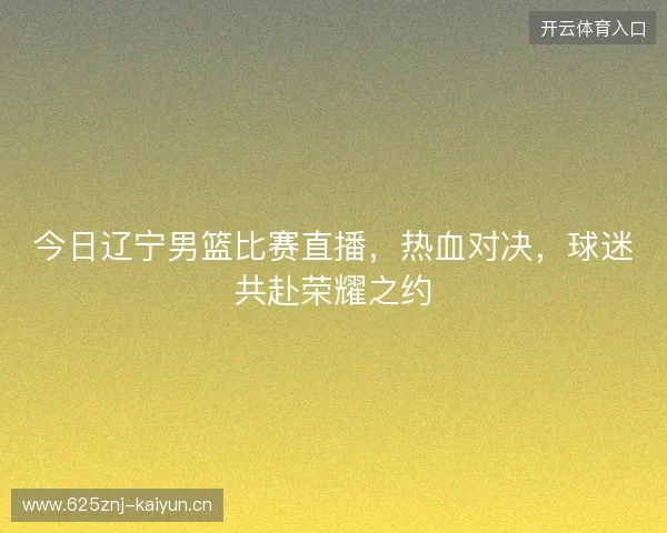 今日辽宁男篮比赛直播，热血对决，球迷共赴荣耀之约